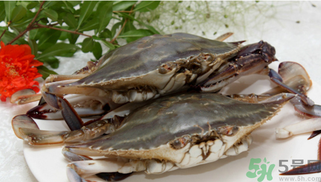 梭子蟹什么時候有黃？怎么看梭子蟹是否滿黃？