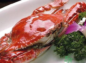 梭子蟹什么時候有黃？怎么看梭子蟹是否滿黃？