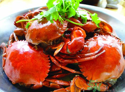 海蟹什么時(shí)候有黃？海蟹什么黃最多？