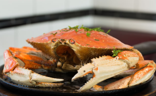 梭子蟹蒸多長時間？梭子蟹怎么蒸？