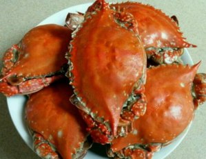 梭子蟹蒸多長時間？梭子蟹怎么蒸？