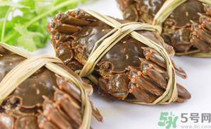 盤錦河蟹什么時候最好？盤錦河蟹什么時候最肥？