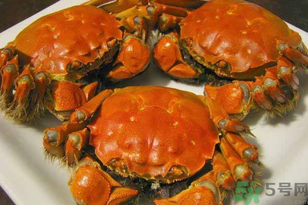 洪澤湖大閘蟹多少錢一斤？洪澤湖大閘蟹價格