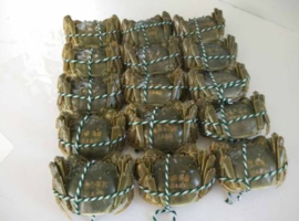 大閘蟹多少錢一斤？大閘蟹多少錢一只？