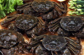 大閘蟹多少錢一斤？大閘蟹多少錢一只？