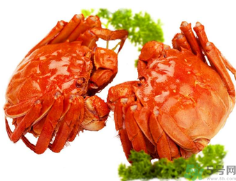 大閘蟹哪個品牌好？什么牌子的大閘蟹好吃？