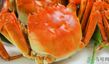 大閘蟹哪個品牌好？什么牌子的大閘蟹好吃？