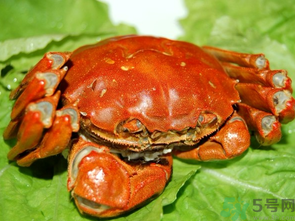 大閘蟹哪個品牌好？什么牌子的大閘蟹好吃？