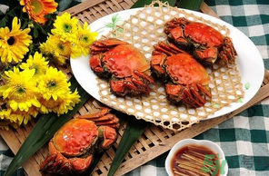 大閘蟹哪個品牌好？什么牌子的大閘蟹好吃？