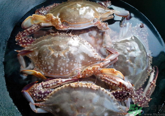 河蟹死了還能吃嗎？河蟹死了多久還能吃？