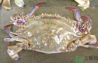 河蟹死了還能吃嗎？河蟹死了多久還能吃？