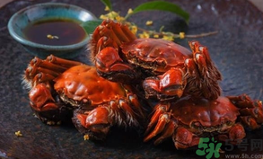 陽(yáng)澄湖大閘蟹死了還能吃嗎？陽(yáng)澄湖大閘蟹死了為什么不能吃？