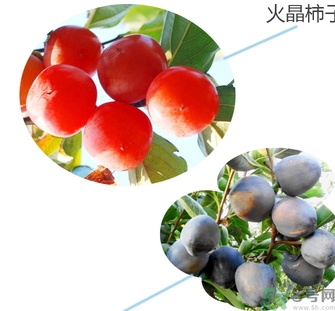 黑柿的營(yíng)養(yǎng)價(jià)值及功效 黑柿怎么吃？