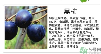 黑柿的營(yíng)養(yǎng)價(jià)值及功效 黑柿怎么吃？