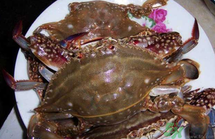 梭子蟹死了還能吃嗎？梭子蟹死了多久還能吃？