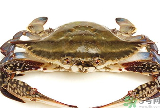 梭子蟹死了還能吃嗎？梭子蟹死了多久還能吃？