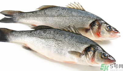 孕婦可以吃梭子蟹嗎？孕婦吃梭子蟹好嗎？