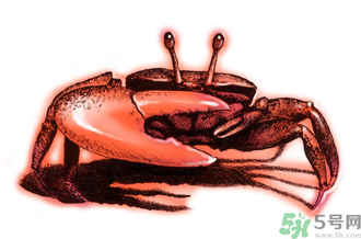 吃螃蟹后嘔吐怎么辦？吃螃蟹嘔吐吃什么藥？