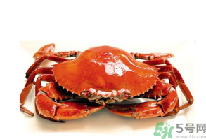 吃螃蟹后嘔吐怎么辦？吃螃蟹嘔吐吃什么藥？