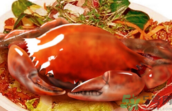 吃螃蟹后嘔吐怎么辦？吃螃蟹嘔吐吃什么藥？