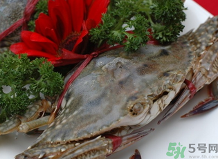 梭子蟹多少錢一斤？梭子蟹多少錢一只？