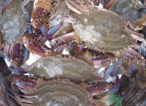 梭子蟹多少錢一斤？梭子蟹多少錢一只？