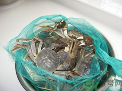 梭子蟹怎么保存？活的梭子蟹怎么保存？