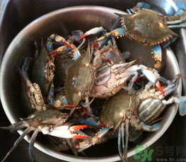 梭子蟹怎么保存？活的梭子蟹怎么保存？