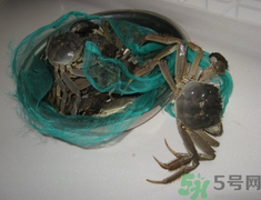 梭子蟹怎么保存？活的梭子蟹怎么保存？