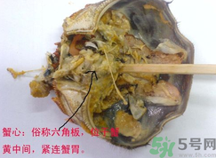 梭子蟹哪些部位不能吃？梭子蟹哪些人不能吃？