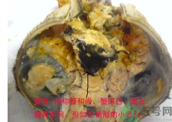 梭子蟹哪些部位不能吃？梭子蟹哪些人不能吃？