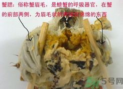 梭子蟹哪些部位不能吃？梭子蟹哪些人不能吃？