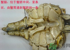 梭子蟹哪些部位不能吃？梭子蟹哪些人不能吃？
