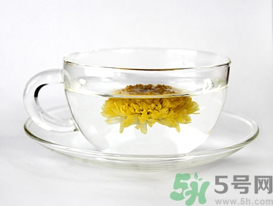 泡菊花茶用多少度的水?泡菊花茶的水溫介紹 泡菊花茶用多少度的水?泡菊花茶的水溫介紹