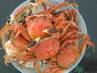 大閘蟹公的好還是母的好？大閘蟹怎么分辨公母？