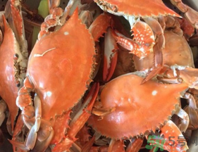 大閘蟹公的好還是母的好？大閘蟹怎么分辨公母？