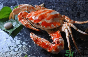 大閘蟹公的好還是母的好？大閘蟹怎么分辨公母？