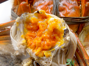 吃蟹黃有什么好處？如何挑選蟹黃多的螃蟹？