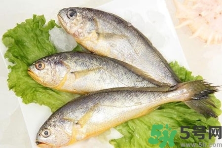 秋季適合吃什么魚？秋季吃魚的好處？