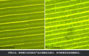 sk2大眼眼霜怎么樣？sk2大眼眼霜好用嗎？
