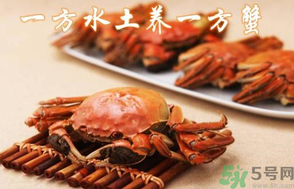 盤錦河蟹和陽澄湖大閘蟹的區(qū)別？盤錦河蟹和陽澄湖大閘蟹哪個比較好吃？