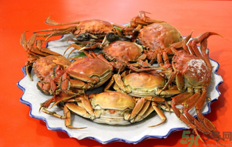 盤錦河蟹和陽澄湖大閘蟹的區(qū)別？盤錦河蟹和陽澄湖大閘蟹哪個比較好吃？