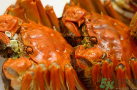 盤錦河蟹和陽澄湖大閘蟹的區(qū)別？盤錦河蟹和陽澄湖大閘蟹哪個比較好吃？