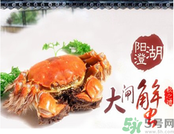 陽(yáng)澄湖大閘蟹為什么出名？陽(yáng)澄湖大閘蟹出名的原因