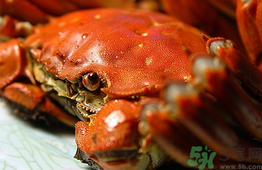 陽澄湖大閘蟹和普通大閘蟹的區(qū)別？陽澄湖大閘蟹比普通大閘蟹好在哪里？
