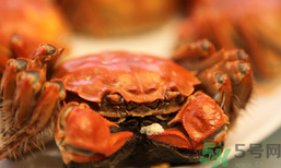 陽澄湖大閘蟹和普通大閘蟹的區(qū)別？陽澄湖大閘蟹比普通大閘蟹好在哪里？