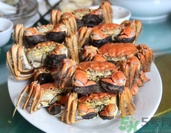 陽澄湖大閘蟹和普通大閘蟹的區(qū)別？陽澄湖大閘蟹比普通大閘蟹好在哪里？