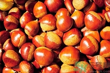 吃栗子會胖嗎？栗子吃多了會怎樣？