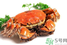 陽澄湖大閘蟹是河蟹嗎？陽澄湖大閘蟹和河蟹的區(qū)別