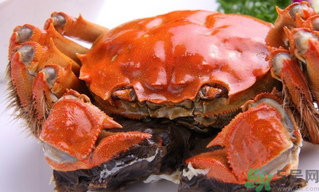 陽(yáng)澄湖大閘蟹好吃嗎？陽(yáng)澄湖大閘蟹為什么好吃？